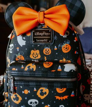 Best Crossbody Bag For Disney World (1)